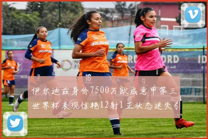 伊尔迪兹身价7500万欧成意甲第三世界杯表现惊艳12射1正状态迷失引发关注