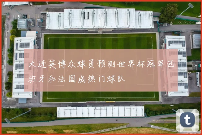 大连英博众球员预测世界杯冠军西班牙和法国成热门球队
